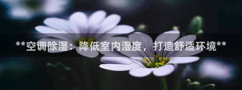 360环球国际官网