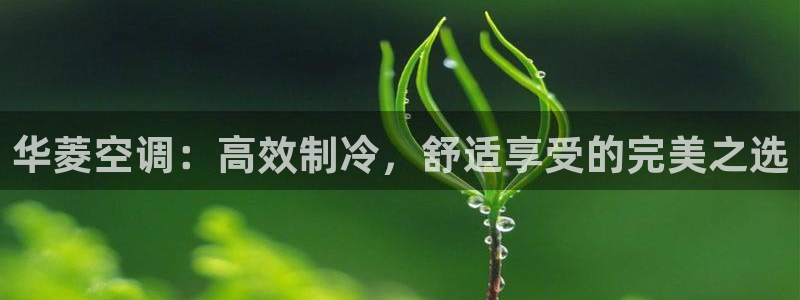 360环球国际官网