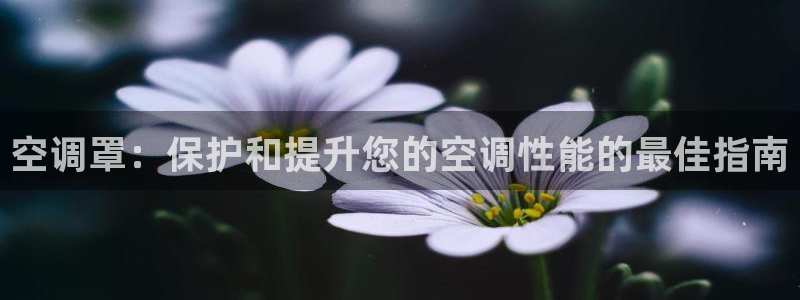 环球360网站