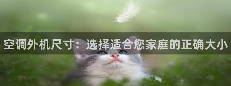 环球360一比一包杀威agkk19在