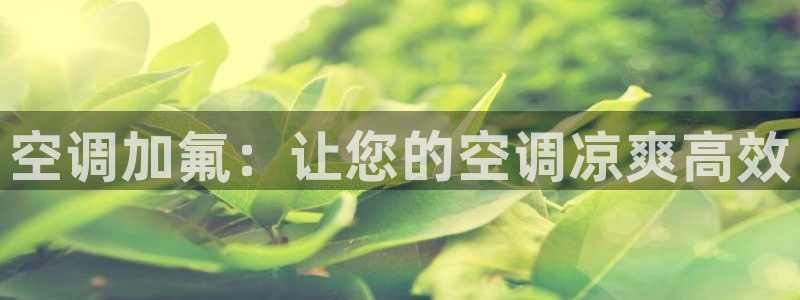环球360官方游戏