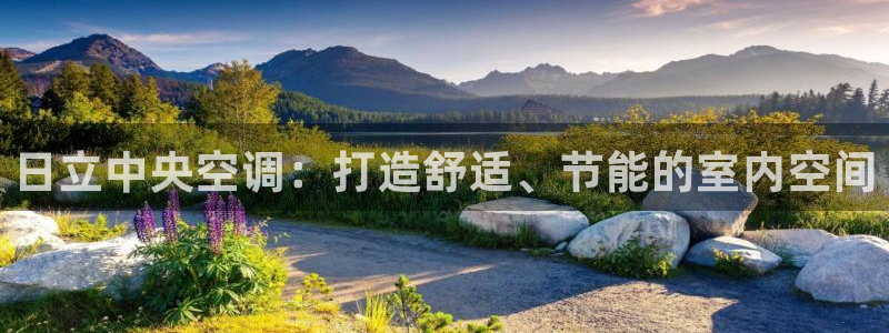 360环球管理