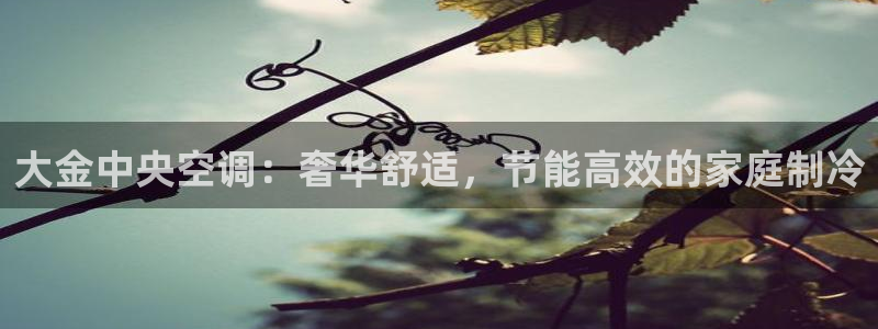 环球360的官网客服在哪里找到