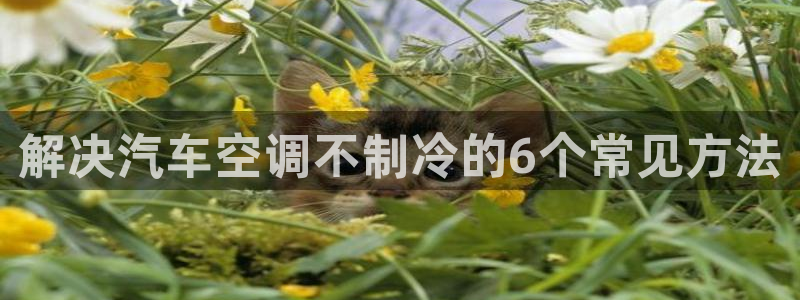 环球360最新官方入口地址查询