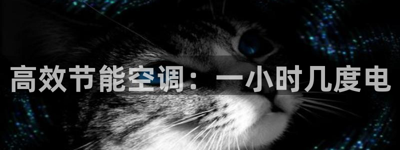 环球360官网手机版下载
