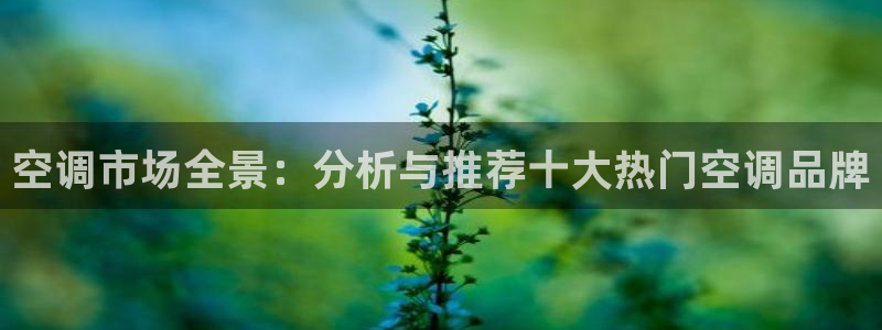 环球360官网手机版下载安装苹果版