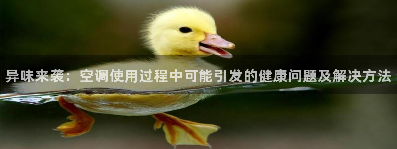 环球360平台一万分多少钱