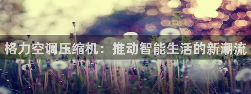 菲律宾环球360官网网站